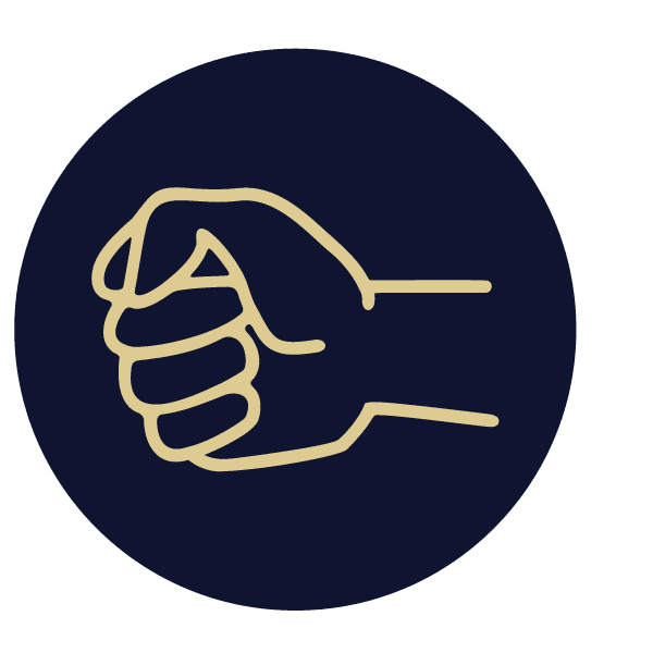 LIMB BLUE LIMB BLUE fist icon