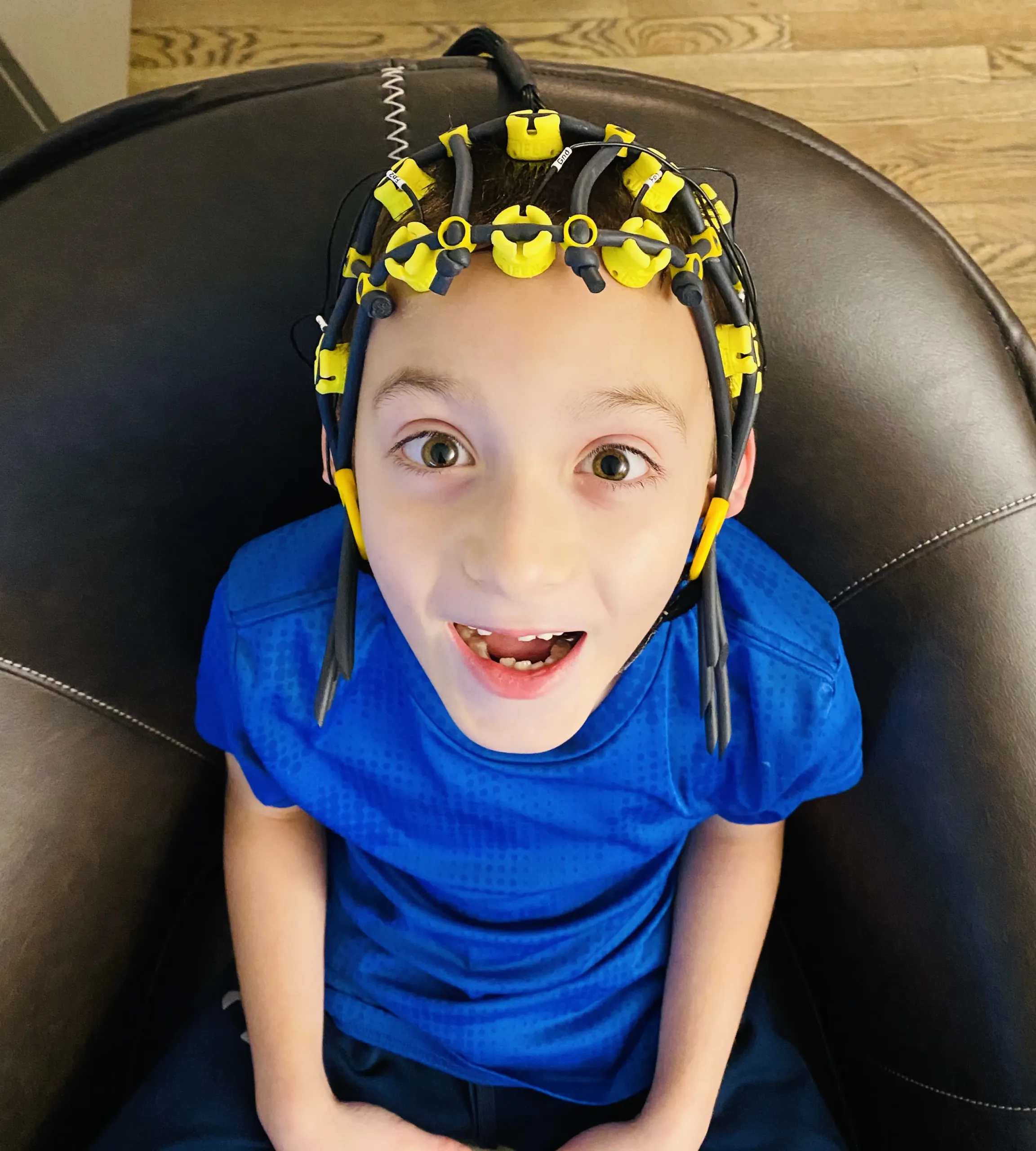 grey-brain-training-session